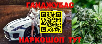 тгк Краснодар