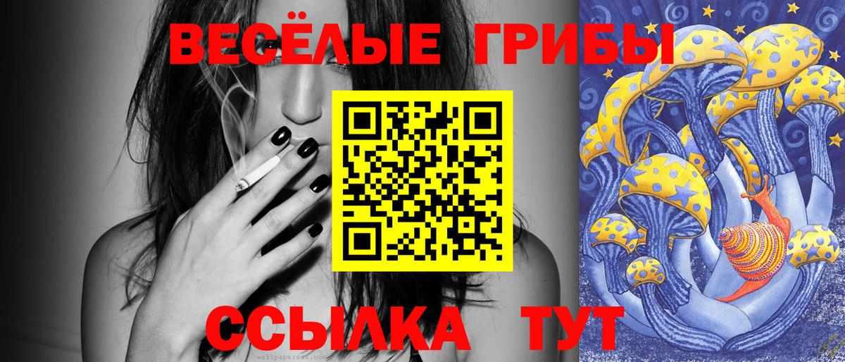 Галлюциногенные грибы ЛСД Урус-Мартан